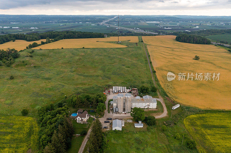 鸟瞰油菜籽田和公路ON-400, Bradford West Gwillimbury，加拿大